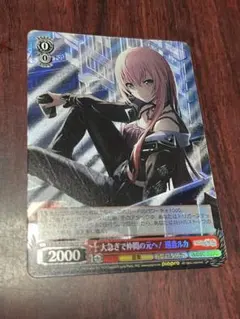 2026年最新】ヴァイス プロセカ srの人気アイテム - メルカリ