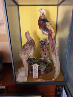 m82347628860_1.jpg?1767401885