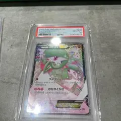 2026年最新】ポケキュン psa10 サーナイトの人気アイテム - メルカリ