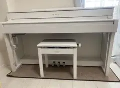 2026年最新】sclp－6450の人気アイテム - メルカリ