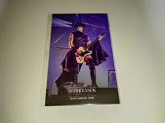 2026年最新】dir en grey toshiyaの人気アイテム - メルカリ