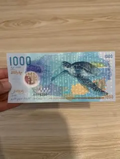 2026年最新】ウミガメのお札の人気アイテム - メルカリ