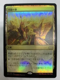 2026年最新】真鍮の都 foilの人気アイテム - メルカリ