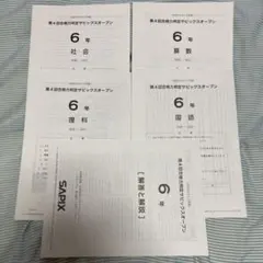 2026年最新】第4回合格力判定サピックスオープンの人気アイテム - メルカリ