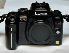 2026年最新】Panasonic LUMIX DMC-GH2の人気アイテム - メルカリ
