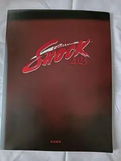 2026年最新】パンフレット SHOCKの人気アイテム - メルカリ