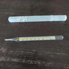 2026年最新】水銀体温計の人気アイテム - メルカリ