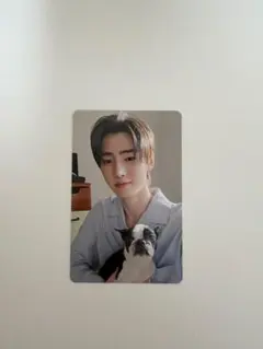 2026年最新】enhypen アンケート トレカの人気アイテム - メルカリ