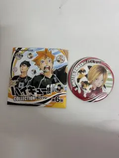 2026年最新】孤爪研磨 横断幕 缶バッジの人気アイテム - メルカリ