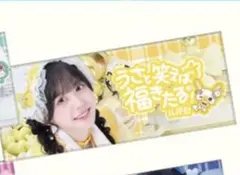 2026年最新】福丸うさ タオルの人気アイテム - メルカリ