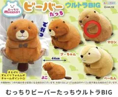 2026年最新】むっちりビーバーたっちウルトラBIGの人気アイテム - メルカリ
