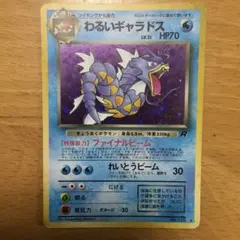 2026年最新】わるいギャラドスLV31の人気アイテム - メルカリ