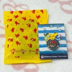 2026年最新】ポケモンセンター ヨコハマ ピンバッジの人気アイテム