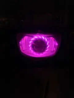 2026年最新】イカリング アドレスの人気アイテム - メルカリ