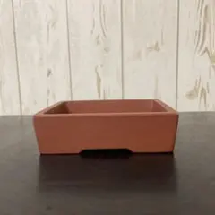 2026年最新】中国 植木鉢 朱泥の人気アイテム - メルカリ