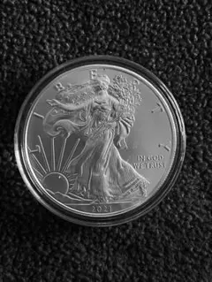 2026年最新】イーグル銀貨 2020の人気アイテム - メルカリ