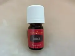 2026年最新】エクソダス ヤングの人気アイテム - メルカリ