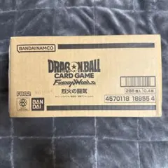 2026年最新】烈火の闘気 カートンの人気アイテム - メルカリ