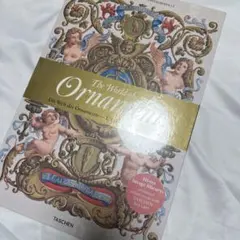 ☆超レア 洋書 限定本 Lagon#3 タイガー立石 ポップアート インテリア