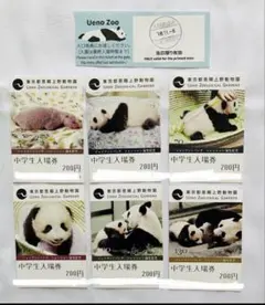 2026年最新】上野動物園シャオシャオレイレイの人気アイテム - メルカリ