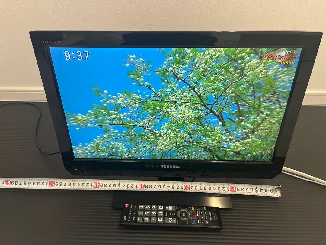 2026年最新】東芝 液晶テレビ REGZA 19S22 [19インチ]の人気アイテム