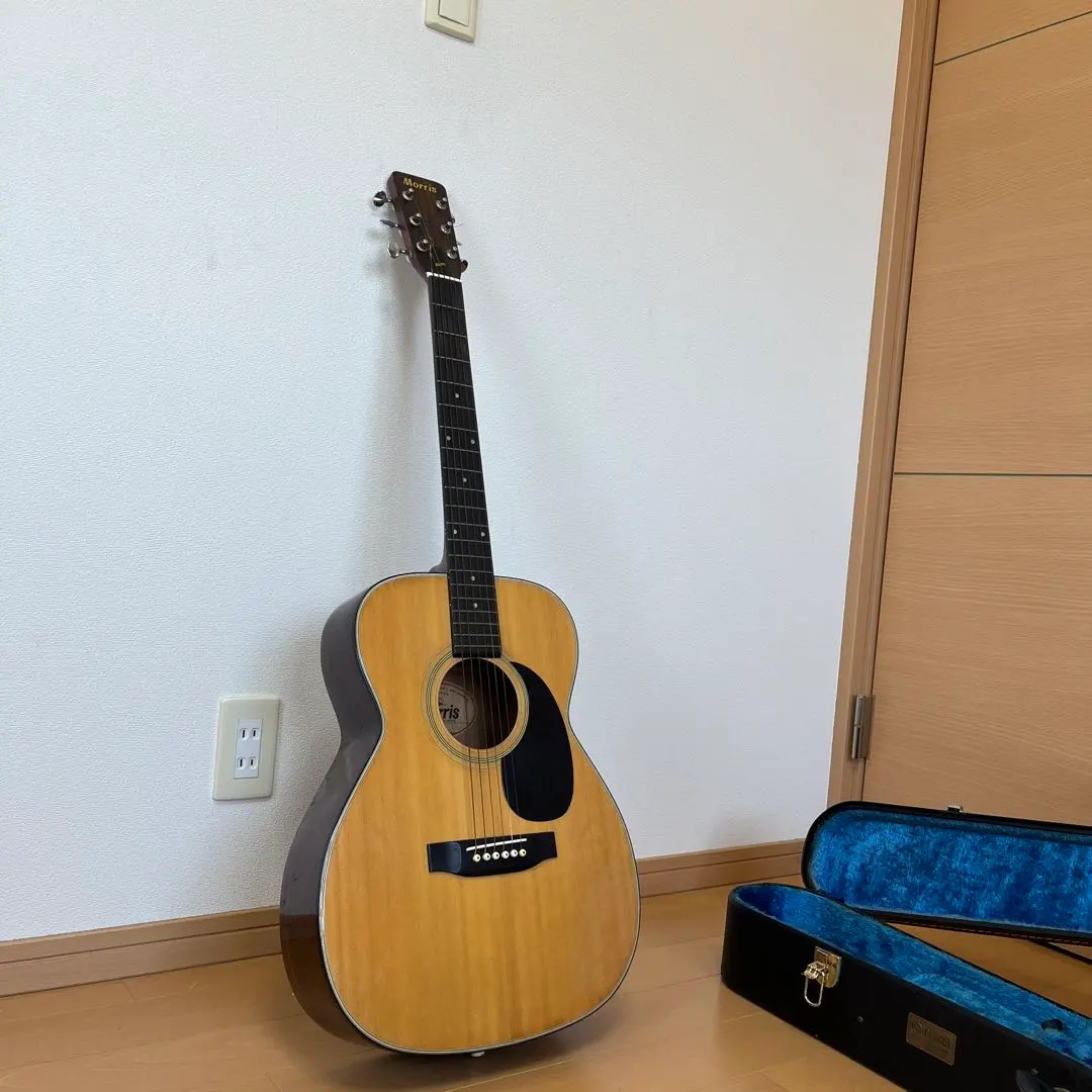 2026年最新】MORRIS ギター F-20の人気アイテム - メルカリ