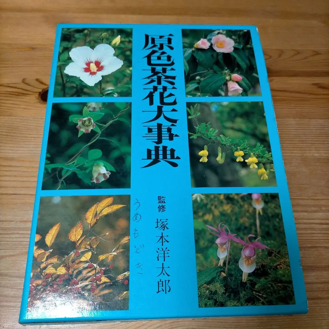 2026年最新】茶花大事典の人気アイテム - メルカリ