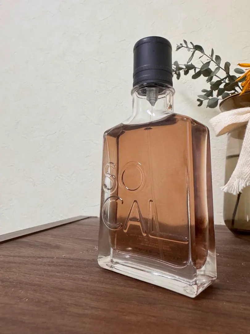 2026年最新】ホリスター SOCALの人気アイテム - メルカリ