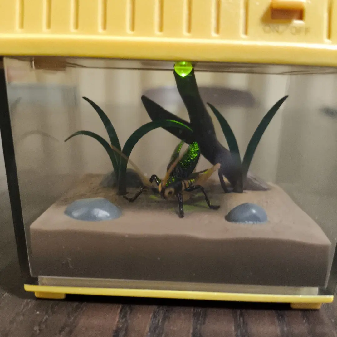 2026年最新】虫かごギャラリーの人気アイテム - メルカリ