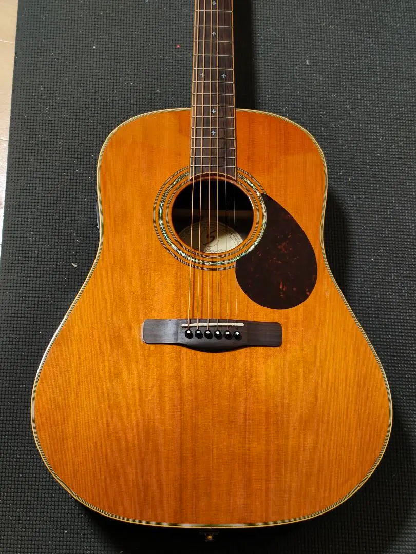 2026年最新】greg bennett ギターの人気アイテム - メルカリ