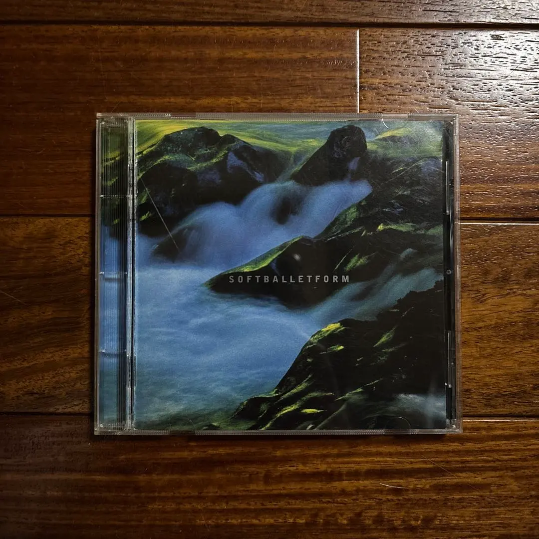 2026年最新】FORM SOFT BALLETの人気アイテム - メルカリ