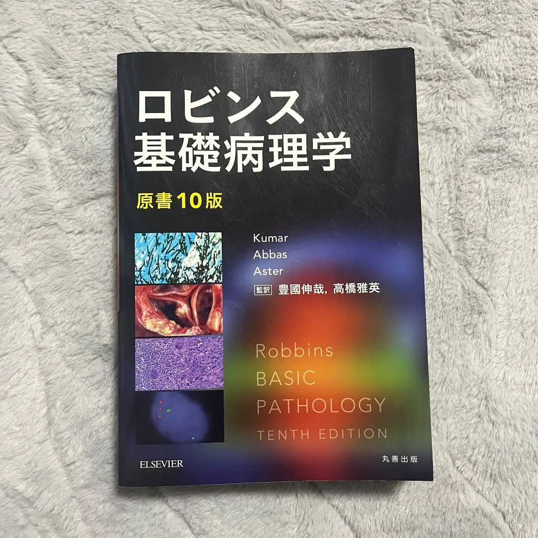 2026年最新】病理学 ロビンスの人気アイテム - メルカリ