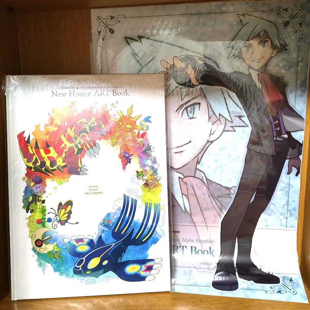 2026年最新】New Hoenn ART Bookの人気アイテム - メルカリ