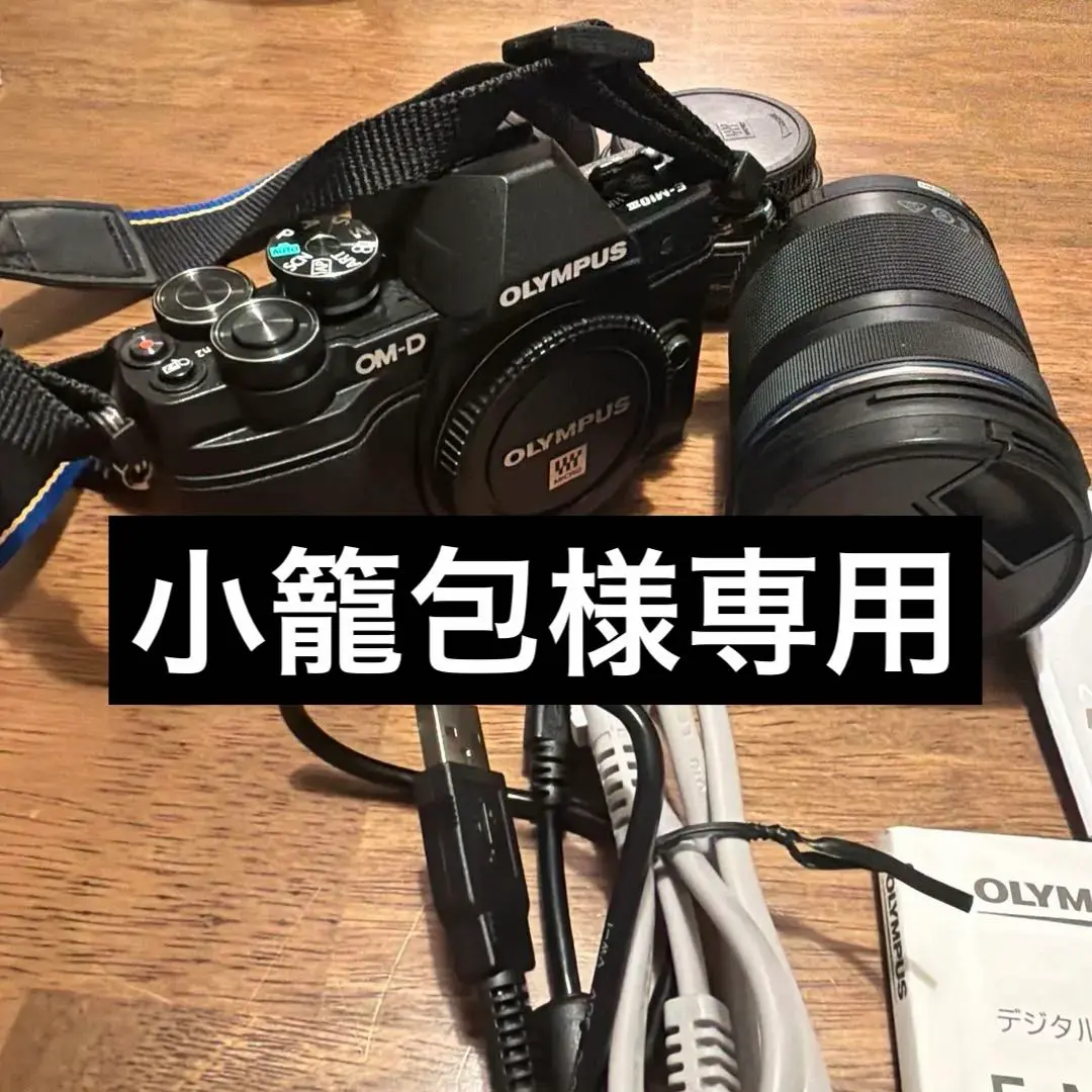 2026年最新】om－d e－m10 markiii ezダブルズームキットの人気