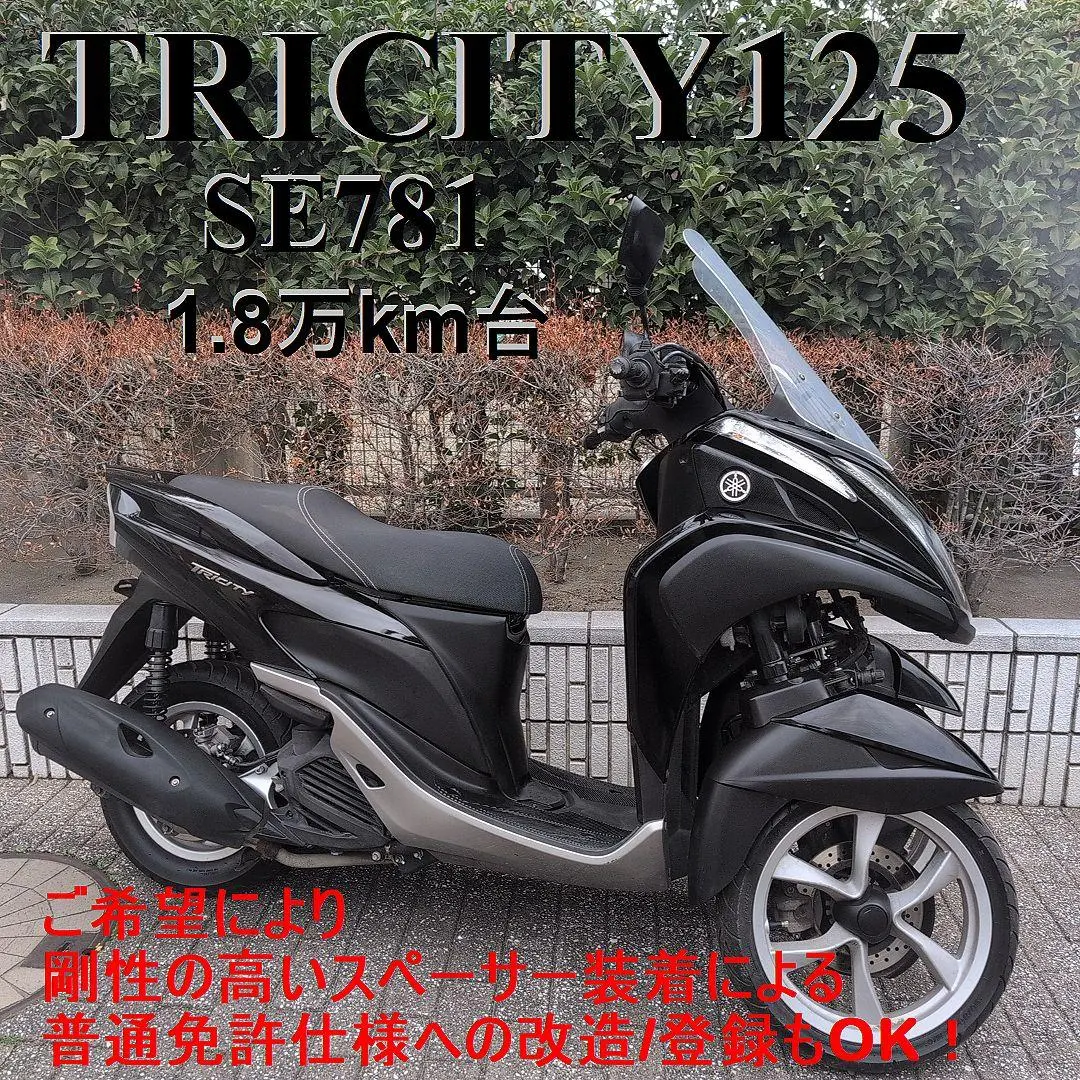 2026年最新】トリシティ ロングスクリーンの人気アイテム - メルカリ