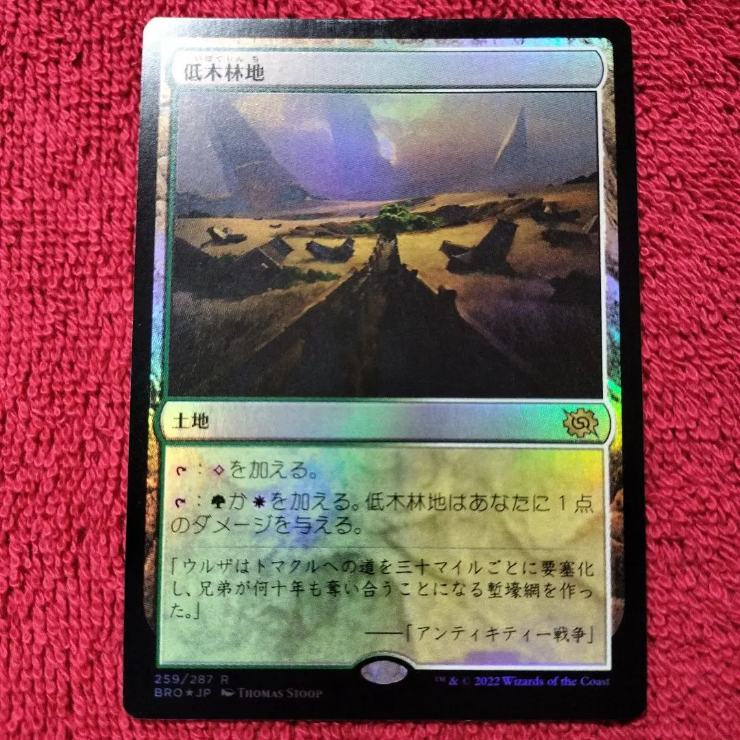 2026年最新】低木林地の人気アイテム - メルカリ