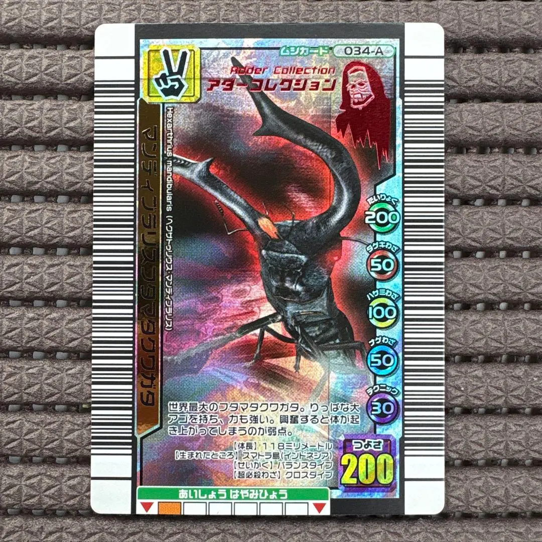 2026年最新】マンディブラリスフタマタクワガタ アダーの人気アイテム