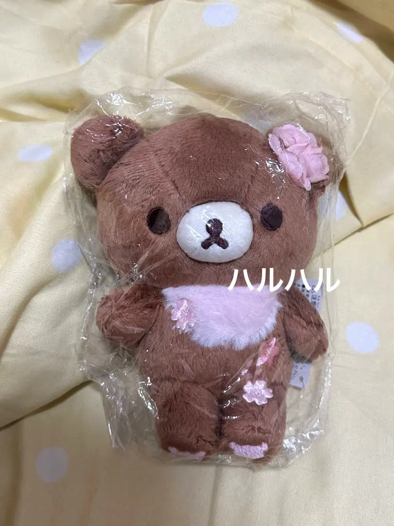 2026年最新】チャイロイコグマ 桜の人気アイテム - メルカリ