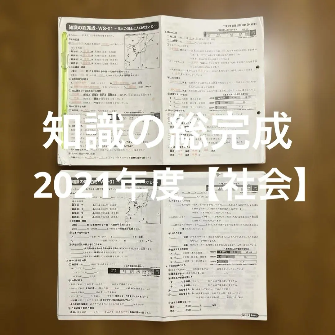 2026年最新】サピックス 社会 知識の総完成の人気アイテム - メルカリ