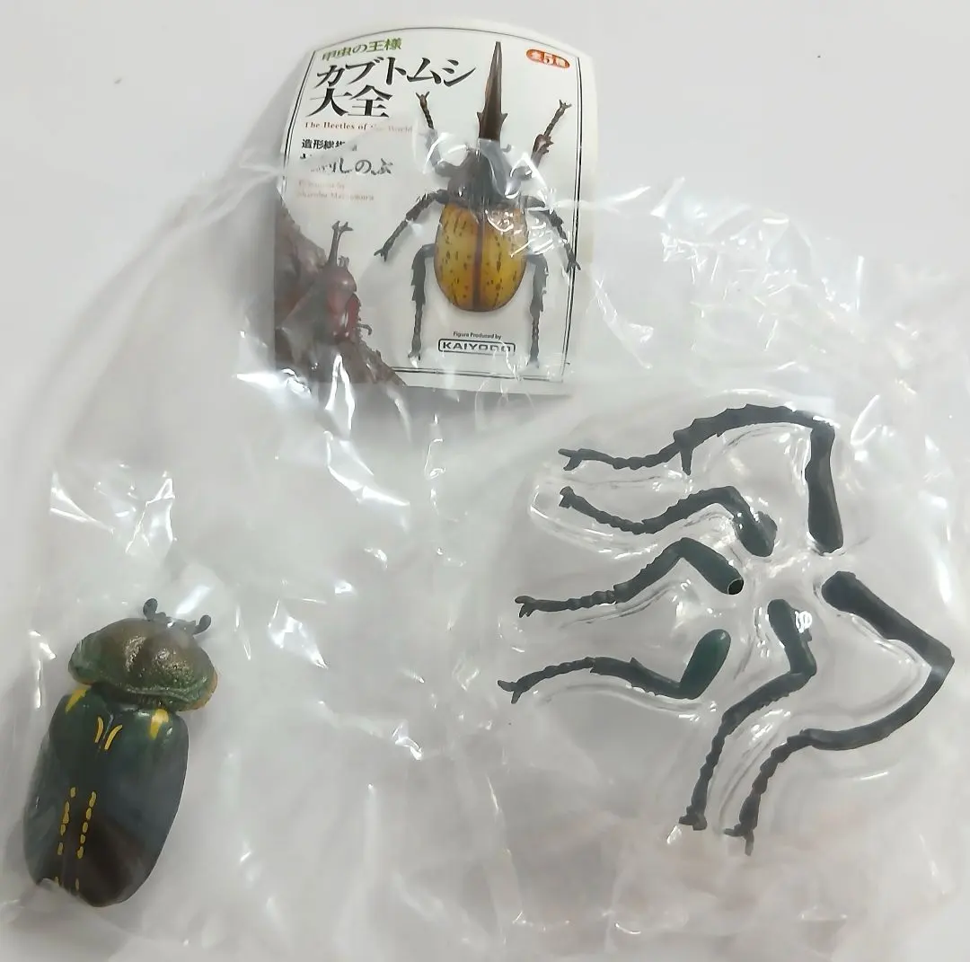 2026年最新】テナガコガネの人気アイテム - メルカリ