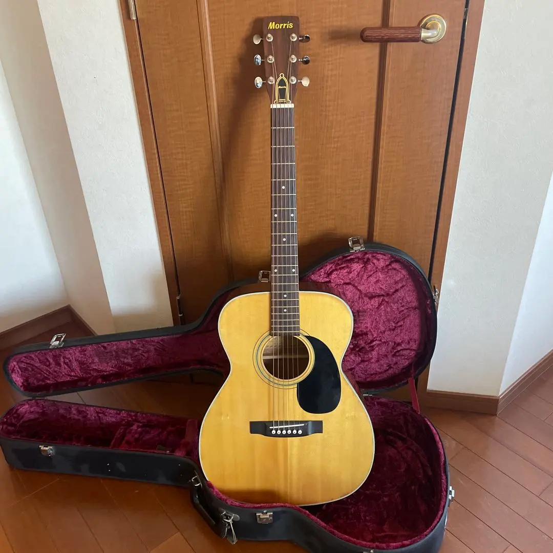 2026年最新】MORRIS ギター F-20の人気アイテム - メルカリ