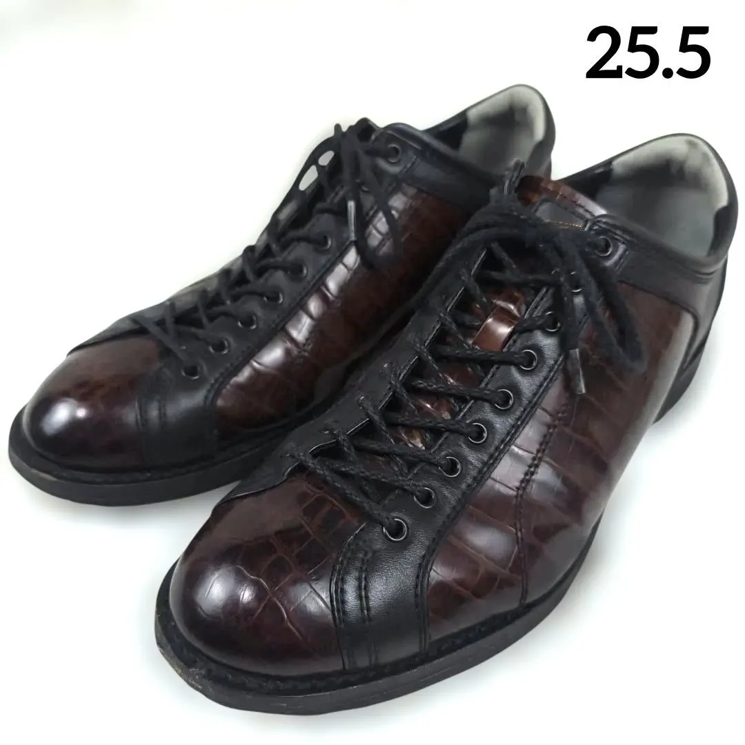 2026年最新】REGAL 66CRの人気アイテム - メルカリ