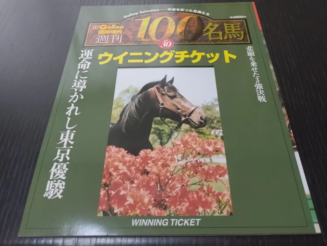 2026年最新】名馬 GALLOP 100の人気アイテム - メルカリ