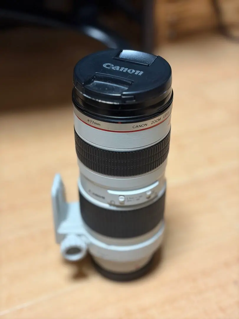 2026年最新】ef70 200mm f4l usm 中古の人気アイテム - メルカリ