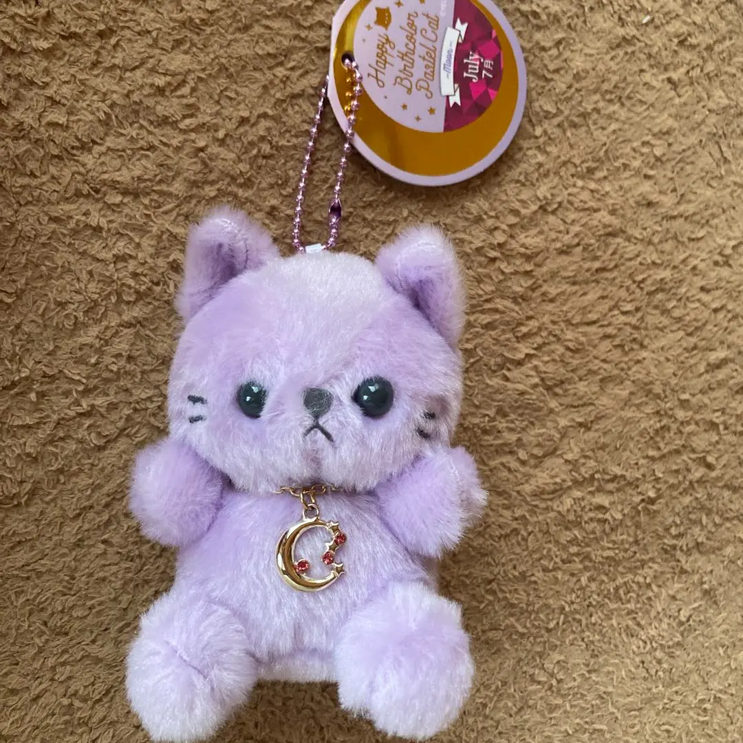 2026年最新】ハッピーバースカラー パステルキャットの人気アイテム