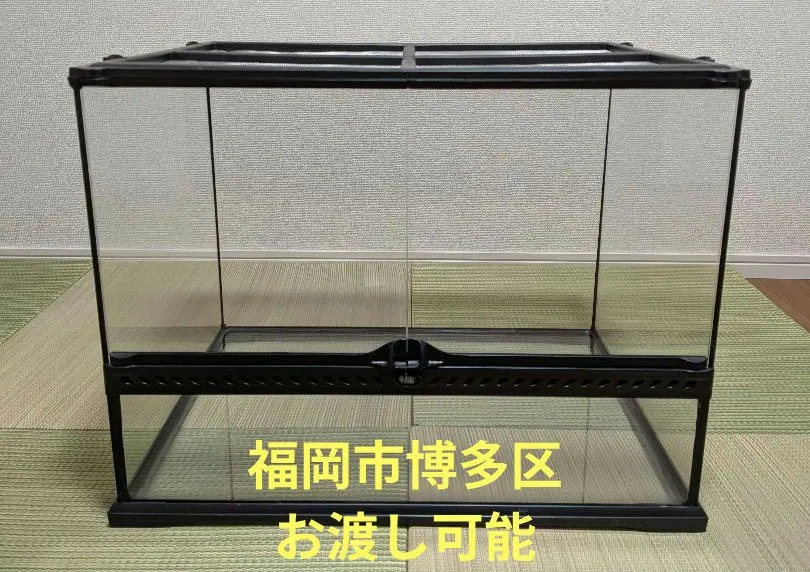 2026年最新】グラステラリウム6045の人気アイテム - メルカリ