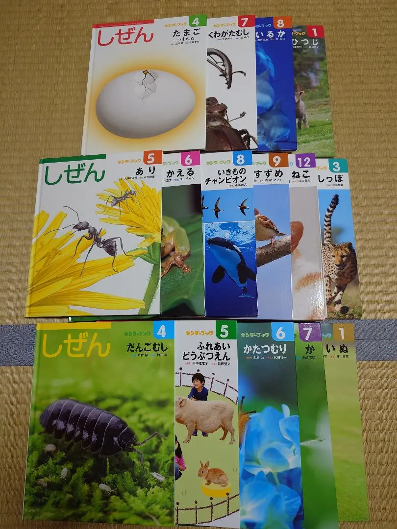 2026年最新】キンダーブックしぜん きょうりゅうの人気アイテム - メルカリ