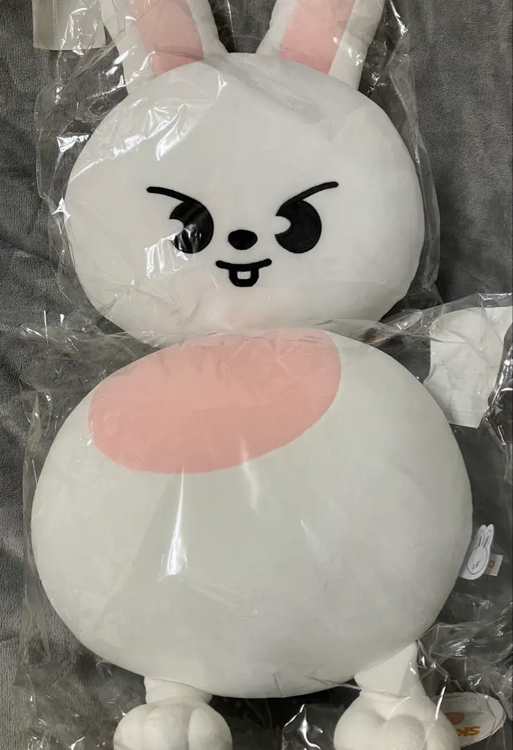 2026年最新】Skzoo リービット leebit クッションの人気アイテム