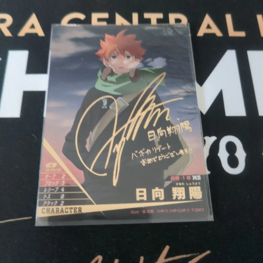 2026年最新】日向翔陽 秘の人気アイテム - メルカリ