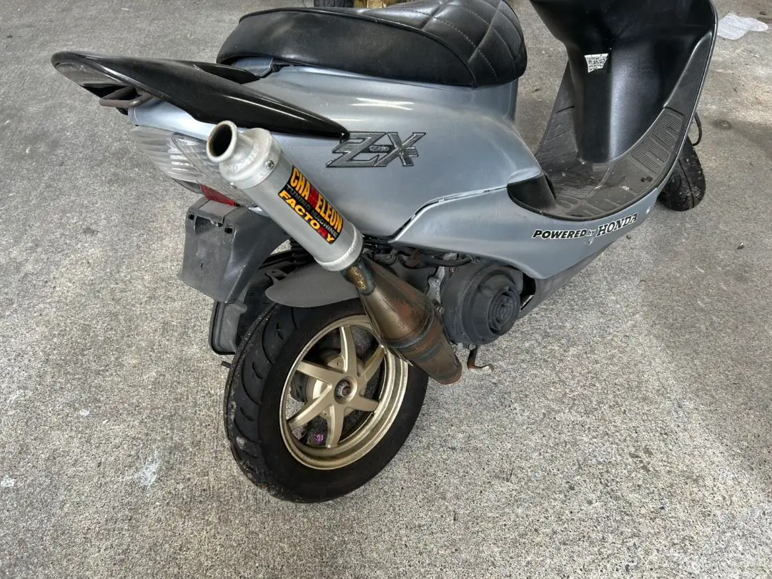 2026年最新】カメレオンファクトリーチャンバーの人気アイテム - メルカリ